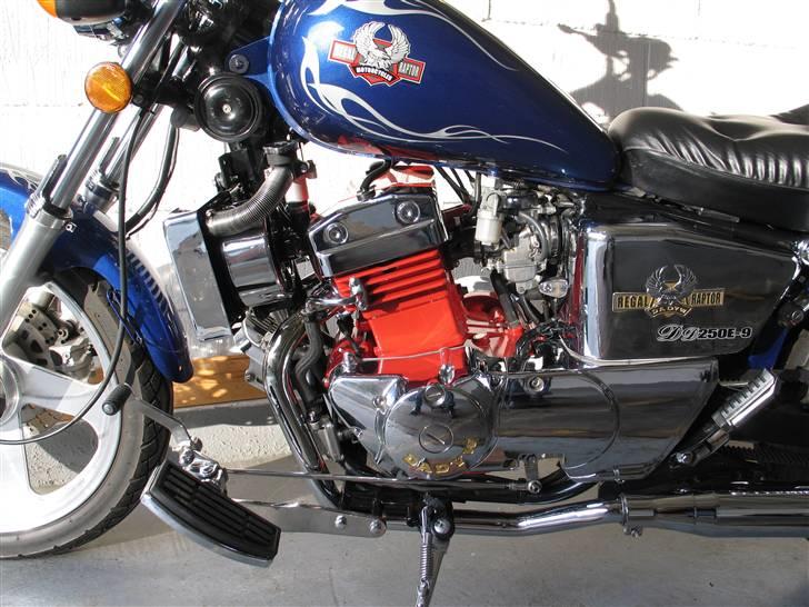 Regal Raptor DD250E-9 billede 11