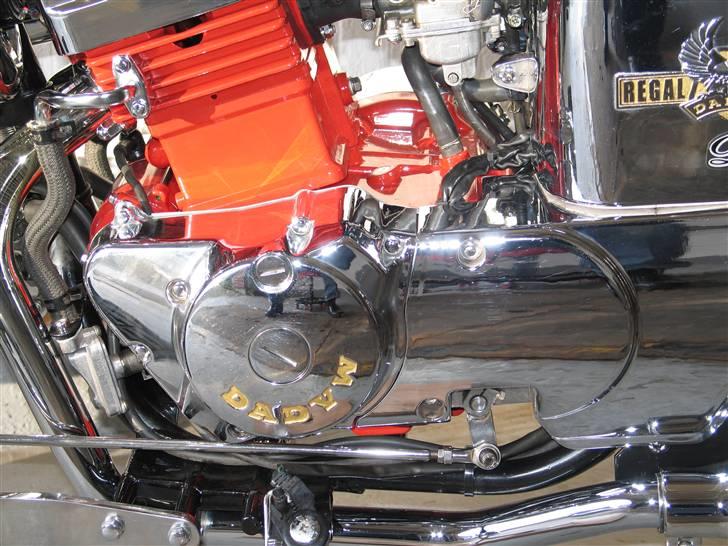 Regal Raptor DD250E-9 billede 12