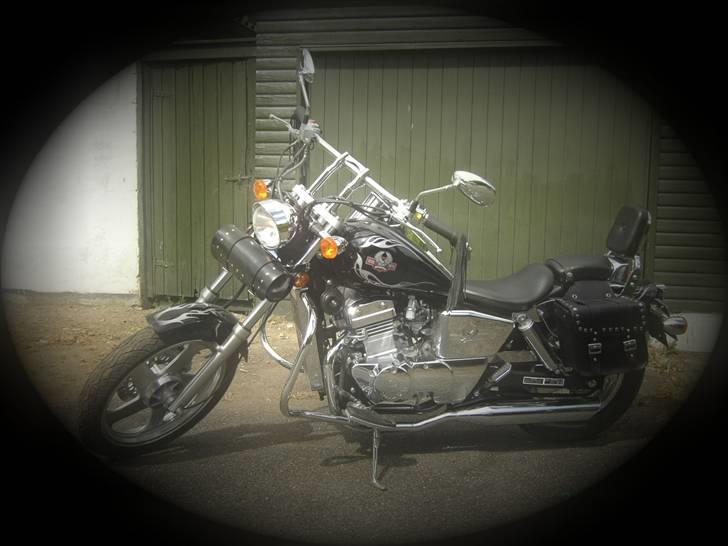 Regal Raptor DD250E-9B - Regal Raptor......husk at stemme ved  udfordringen :o) billede 1