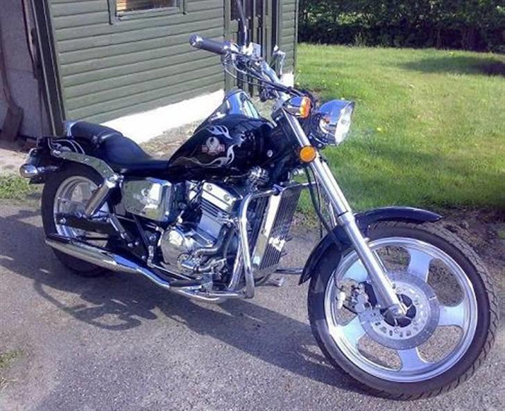 Regal Raptor DD250E-9B - Regal Raptor de første foto billede 5