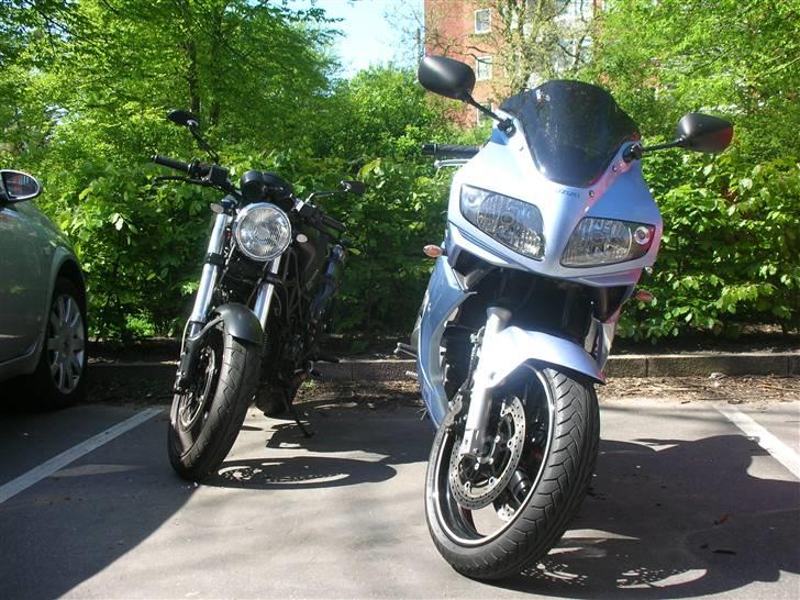 Suzuki SV650 " SOLGT" - Her ses min MC sammen med min kammerats Ducati monster billede 14