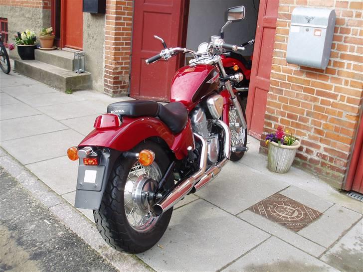 Honda Shadow VT 600 - Billederne er taget inden jeg fik plade på i torsdag ;-) Skulle jo lige have kortet først. billede 5