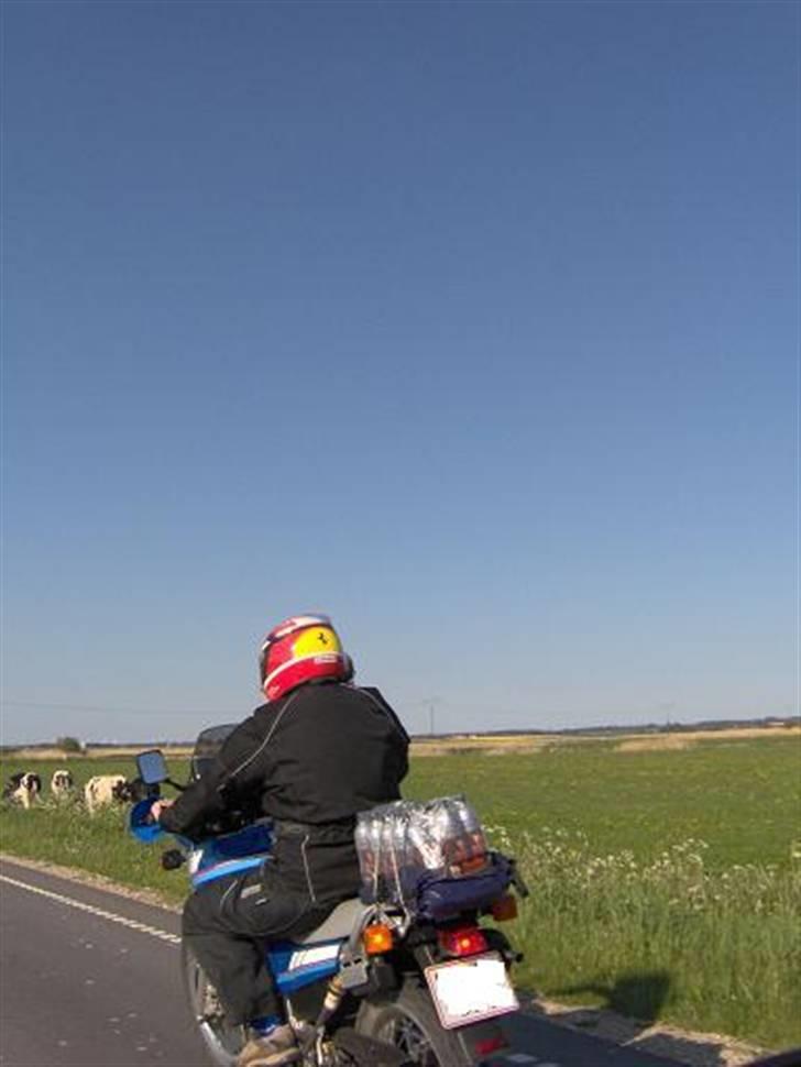 Yamaha XTZ 660 Teneré *SOLGT* billede 11