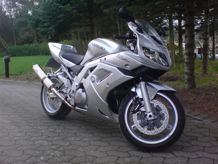 Suzuki SV 1000 S (Solgt) billede 1