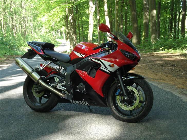 Yamaha YZF R6 (solgt) - På Skovtur billede 1