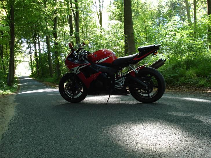 Yamaha YZF R6 (solgt) billede 3