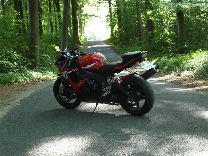 Yamaha YZF R6 (solgt) billede 5