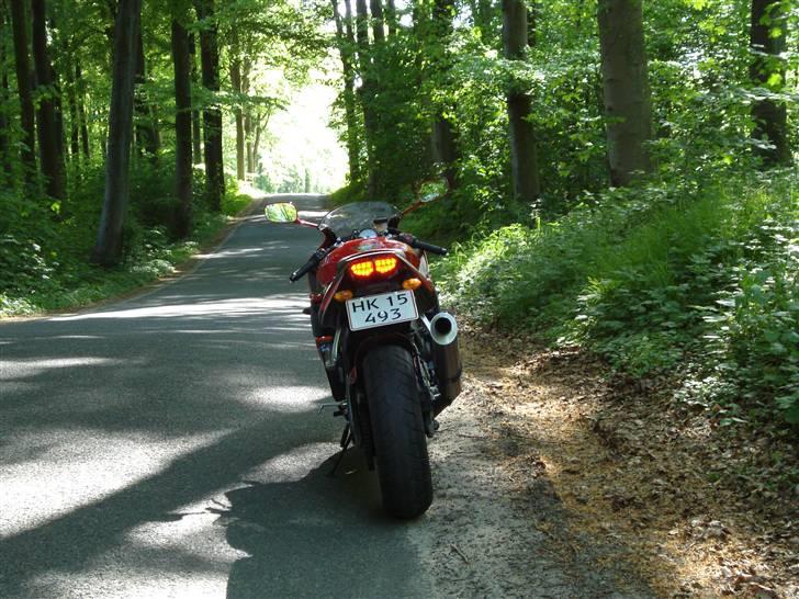 Yamaha YZF R6 (solgt) - Nice Røv billede 6