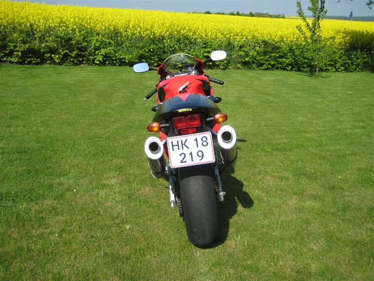 Honda VTR1000 SP-1 - Så er cyklen kommet ud i det grønne - på plader :-) billede 5