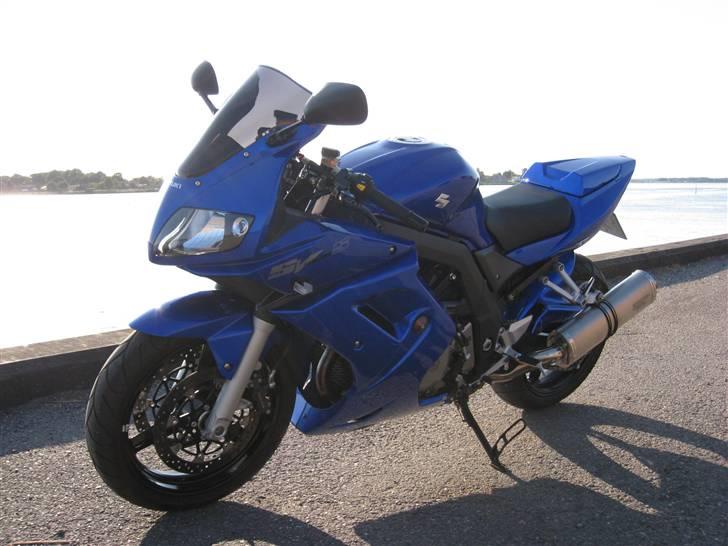 Suzuki SV 1000S billede 1