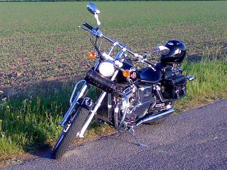 Regal Raptor DD250E-9B - her er så  de nye potter billede 9