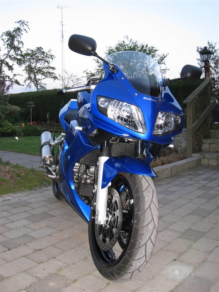 Suzuki SV 1000S billede 5