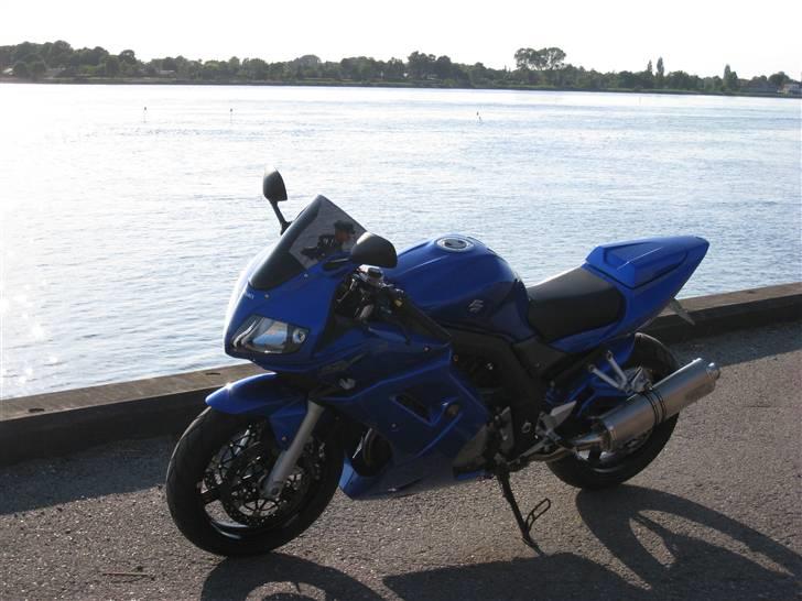 Suzuki SV 1000S billede 10