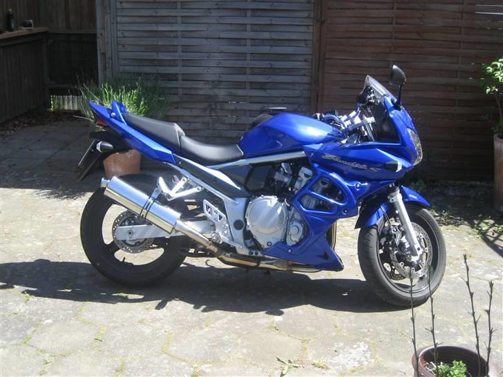 Suzuki GSF 650 sak7 Bandit billede 10