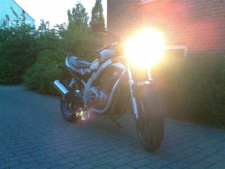 Suzuki GS 500 E billede 12