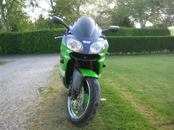 Kawasaki ZX9R billede 2