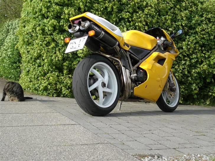 Ducati 996 billede 11