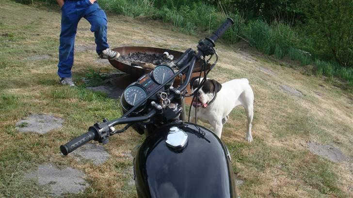 Kawasaki Kawasaki z650/750 billede 18