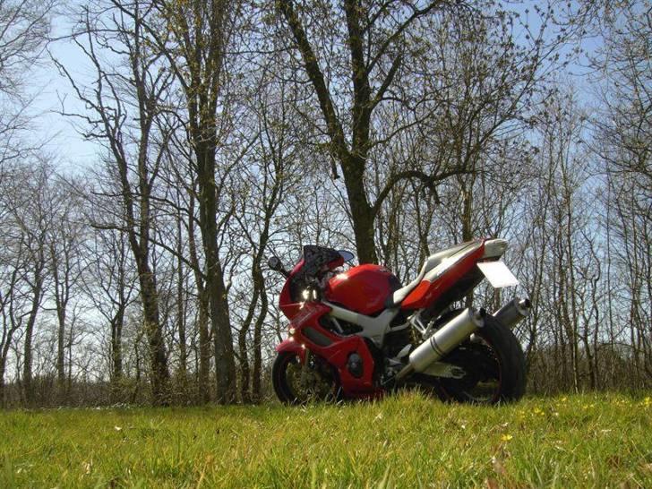 Honda VTR 1000 Firestorm billede 15