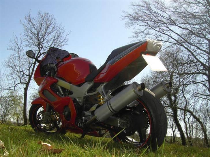 Honda VTR 1000 Firestorm billede 17