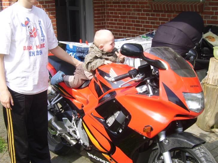 Honda CBR 600 F3 billede 8