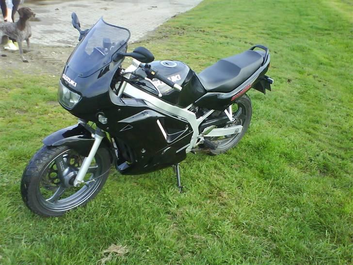 Suzuki gs 500 E billede 3
