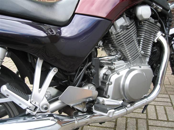 Suzuki VX 800 (Solgt) billede 7
