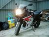 Suzuki GS500 F (SOLGT)