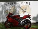 Ducati 750 SS ie