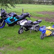 Suzuki GSX600F SOLGT