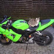 Kawasaki ZX10R