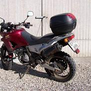 Aprilia Pegaso