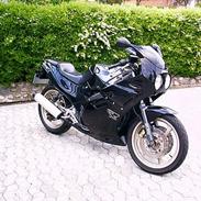 Suzuki GSX 250 R
