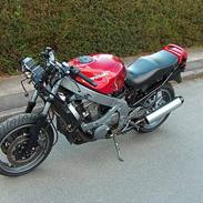 Kawasaki ZZR 600