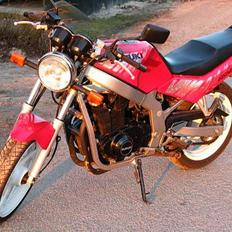 Suzuki Gs 500