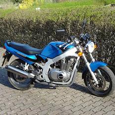 Suzuki GS 500 E *SOLGT*