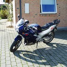 Suzuki GSX-R 250