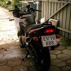 Suzuki GS500 F (SOLGT)