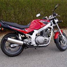 Suzuki GS 500 E - RIP - 
