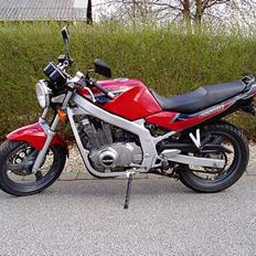 Suzuki GS 500 E - RIP - 