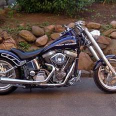 Harley Davidson softtail 