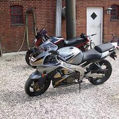Kawasaki ZX6R Ninja (Skanderborg)