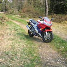 Honda CBR 600 - SOLGT