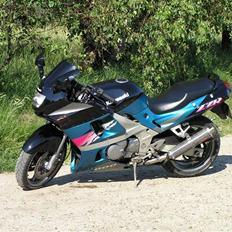 Kawasaki ZZR 600 (solgt)