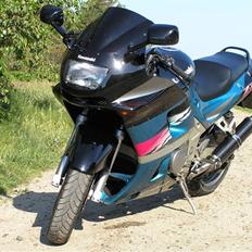 Kawasaki ZZR 600 (solgt)