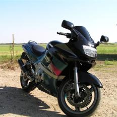 Kawasaki ZZR 600 (solgt)