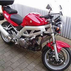 Suzuki SV1000