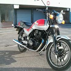 Suzuki Gsx 250 Katana