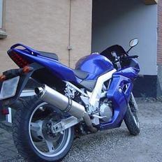Suzuki SV 1000 S