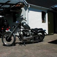 Triumph Thunderbird